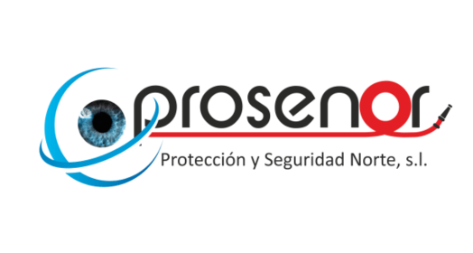 proteccion y seguridad del norte sl 2