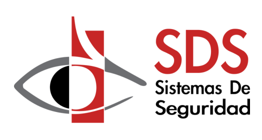 sds seguridad 1
